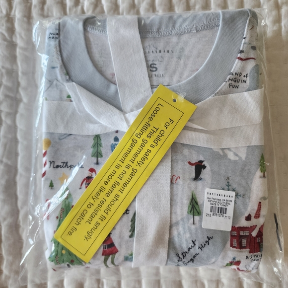 Pottery Barn Teen Pajama Set with Winter Wonderland Design - Picture 1 of 4